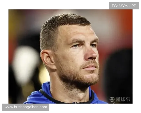 迪马尔科因哲科庆祝波黑致歉视频